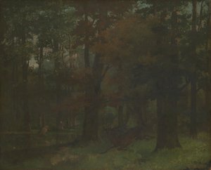 Dans la forêt