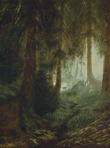 Cerfs dans un paysage forestier