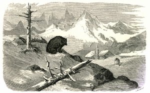 Gravure de Gustave Doré illustrant le livre "Voyage aux Pyrénées" d