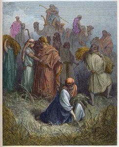 Ruth et Booz - Ruth travaillant dans les champs de Booz - gravure dans "La Bible illustrée" par Gustave Doré - Gravure de "La Bible de Doré" - Gustave Dore