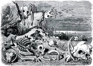Sindbad le marin - conte des mille et une nuits - illustration de Gustave Doré - édition Maxwell 1865 - Septième et dernier voyage : le cimetière des éléphants où Sindbad récupérera les défenses en ivoire