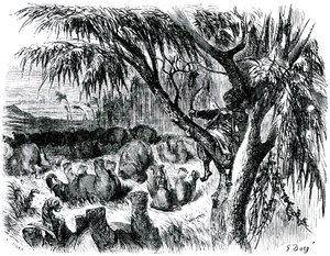 Sindbad le marin - conte des mille et une nuits - illustration de Gustave Doré - édition Maxwell 1865 - Septième voyage : Sindbad, perché dans un arbre, tire avec son arc sur des éléphants - Gustave Dore