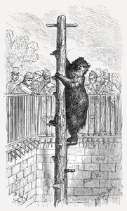La fosse aux ours - Jardins zoologiques, 1872 - Gustave Dore