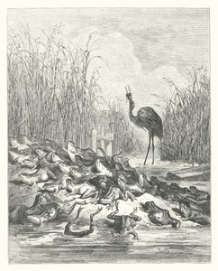 Les Fables de La Fontaine : Les Grenouilles qui demandent un roi