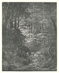 Les Fables de La Fontaine : Le Cerf se voyant dans l