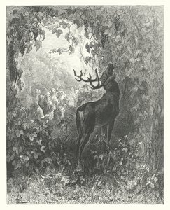 Les Fables de La Fontaine : Le Cerf et la Vigne (gravure)