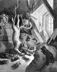 Le chat et le vieux rat - dans « Fables » de La Fontaine, ill. par Gustave Doré - Gustave Dore