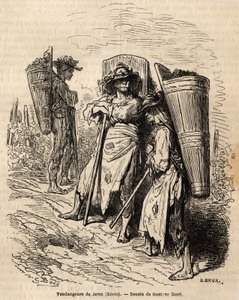 Les cueilleurs de Xérès. Dessin de Gustave Doré (1832-1883), pour illustrer son voyage en Espagne en 1862, avec Ch. Davillier. Gravure dans « Le tour du monde », édité par Édouard Charton