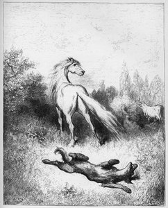 Le cheval et le loup - des "Fables" de Jean de La Fontaine