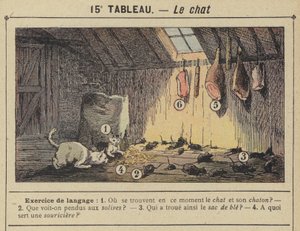 Le chat