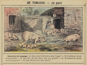 Le porc