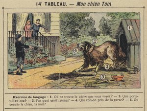 Mon chien Tom