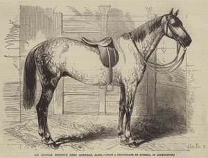 Le cheval gris de Sir George Brown, Alma - Gustave Janet