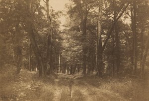 Bas-Bréau, forêt de Fontainebleau, 1849-1852