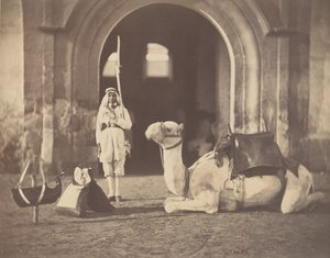 [Soldat et chameau militaire], 1866