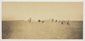 Sans titre - Gustave Le Gray