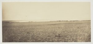 Sans titre - Gustave Le Gray