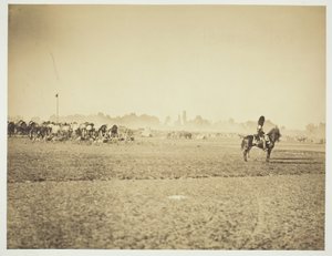 Sans titre [cavalerie]