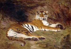 Un tigre allongé