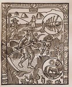 Calendrier des bergers - Les travaux des mois - Juillet - Gravure sur bois du livre de 1496 imprimé par Guy Marchant (Guido Mercator) à Troyes - Foin, la coupe des foins - Gravure sur bois dans « Le grand Calendrier et compost des bergers » - Guy Marchant