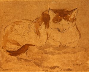 Chat endormi