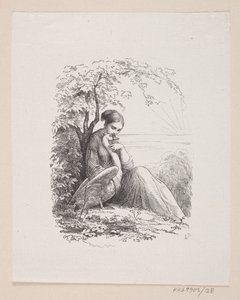 Illustration de "Les cygnes sauvages" dans H.C. Andersen, "Contes et histoires", Tome 1