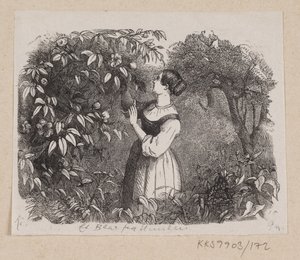 Illustration de "Une feuille du ciel" dans H.C. Andersen, "Contes et histoires", Tome 2 - H.P. Hansen
