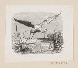 Illustration pour "Les cigognes" dans H.C. Andersen, "Contes et histoires", Tome 1 - H.P. Hansen