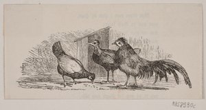 Trois poules