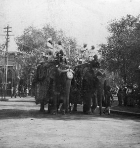 Une princesse pendjabi chevauchant un éléphant dans une procession, Delhi, Inde, années 1900