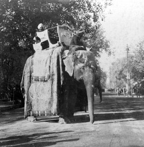 Un éléphant devant la gare de Delhi, Inde, années 1900
