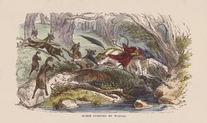 Cheval poursuivi par des loups