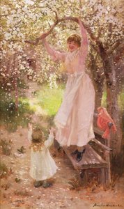 Chute de fleurs de pommier