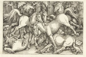 Groupe de sept chevaux combattants