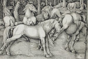  - Hans Baldung Grien
