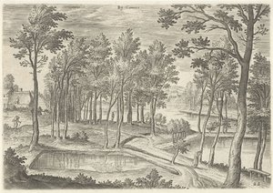Vue des étangs de Ter Kameren - Hans Collaert (I)