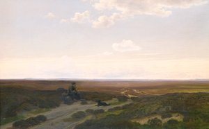Vue des marais de Pårup près de Silkeborg, Jutland - Hans Friis