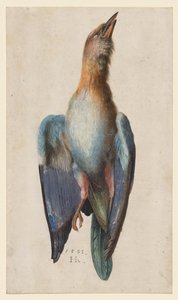 Rollier mort, 1583