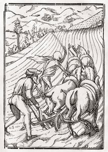 La Mort vient pour le Fermier ou Laboureur, gravée par Georg Scharffenberg, de 