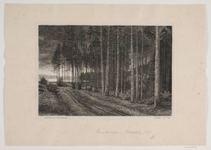 Jour de pluie dans la forêt de sapins - Hans Julius Fæster