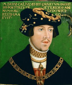 Portrait de Louis II, roi de Hongrie (1506-1526)