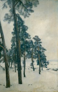 Du lac Bogstad