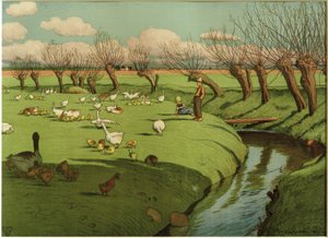 Prairie aux oies