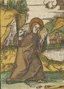 Christ en bon berger, de Das Plenarium, 1517