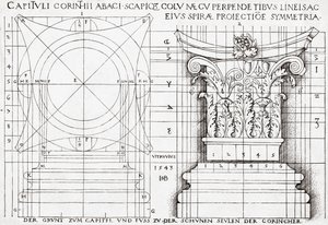 Section transversale du chapiteau corinthien et dessin proportionnel - Hans Sebald Beham