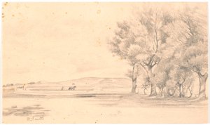 Paysage avec champ labouré; à droite, de grands arbres - Hans Smidth