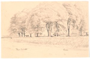 Paysage près d
