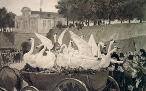 Les Cygnes sauvages, illustration par Hans Tegner pour le conte de fées de Hans Christian Andersen
