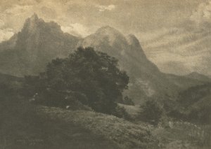 Camera Work: Paysage de montagne - Hans Watzek