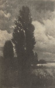 Camera Work: Peupliers et nuages